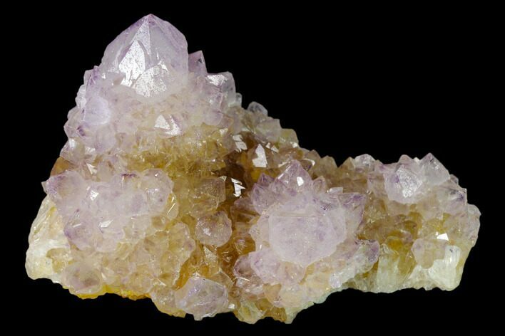 Cactus Quartz (Amethyst) Crystal Cluster - South Africa #137772